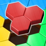Block Hexa Puzzle Wooden Game