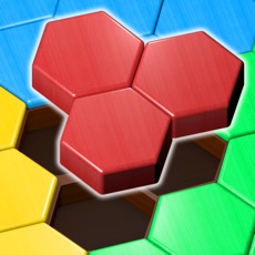 Activities of Block Hexa Puzzle: Wooden Game