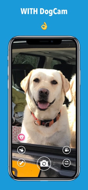 DogCam - Dog Selfie Camera(圖6)-速報App