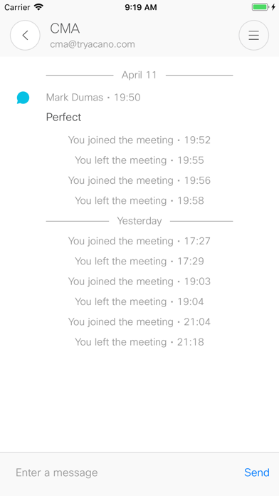 Cisco Meeting screenshot 2