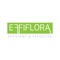 EffiFlora connects you with the Dutch auction and growers of flowers and plants