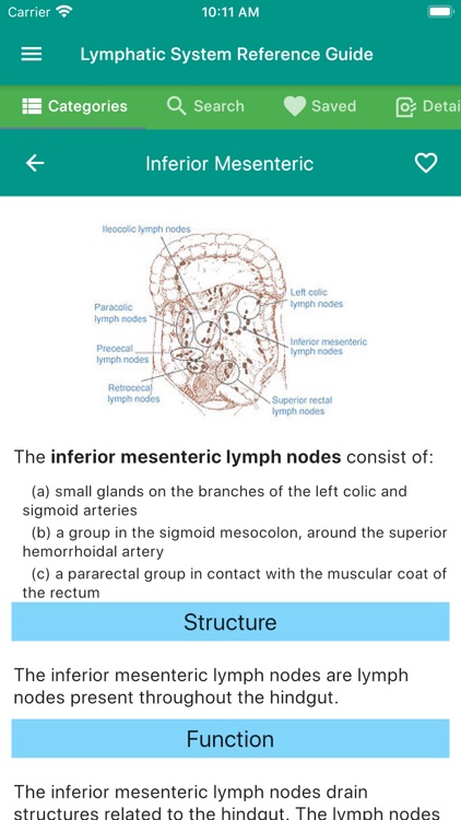 Lymphatic System Reference screenshot-4