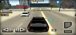 Game screenshot Police Cop - Real Police Sim hack