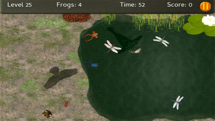 Baby Frogs screenshot-7