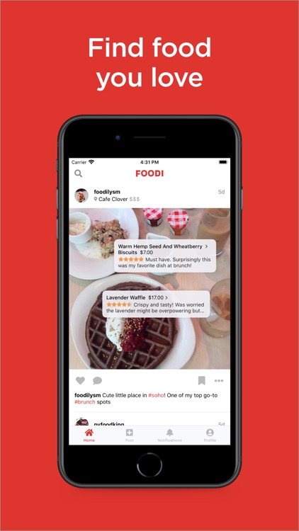 Foodi • Find Food You Love