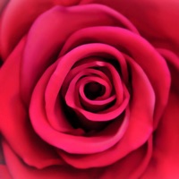 Florescence pour PC
