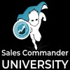 Sales Commanders