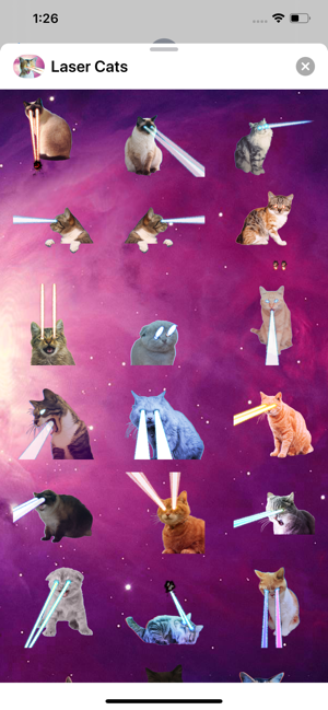 Laser Cats Animated(圖2)-速報App