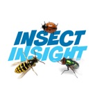 Insect Insight (ANIMATED)