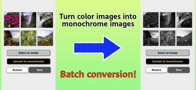 Convert images to monochrome