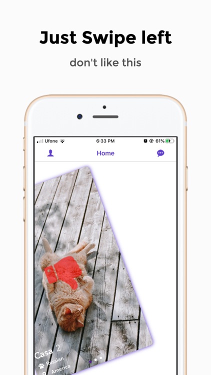 THE PETUP screenshot-3