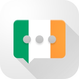 Irish Verb Blitz