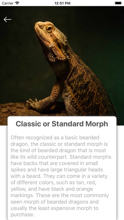 Reptiles & Amphibians