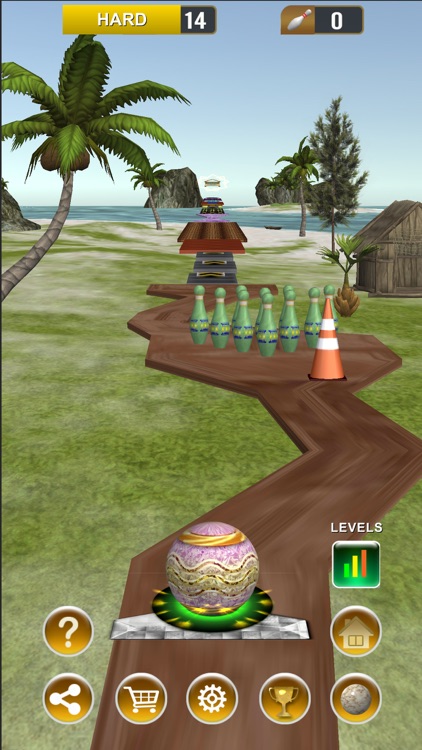 Endless Bowling Paradise screenshot-5