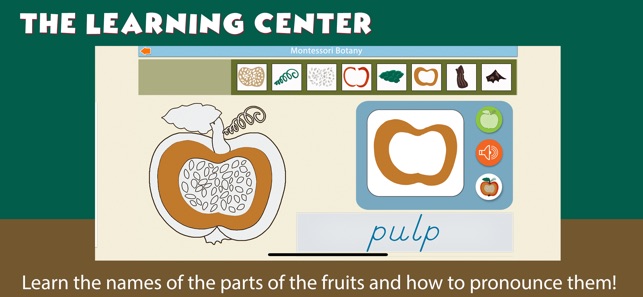 Montessori Parts of Fruits(圖2)-速報App