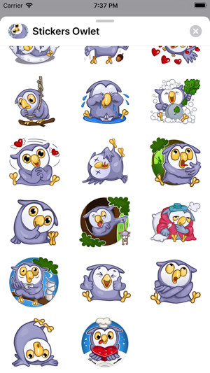 Stickers Cute Owlet(圖2)-速報App