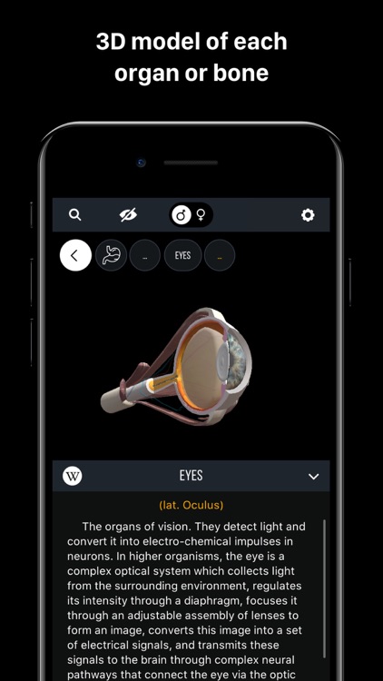 Discover Human Body AR screenshot-3