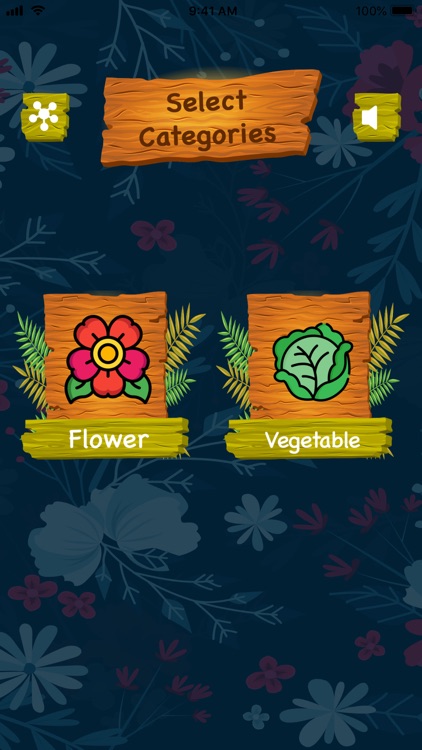 Learn FLowers Vegetables