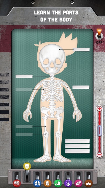 How does The Human Body Work? screenshot-3