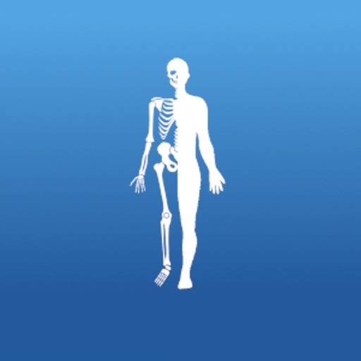 Anatomy AR+