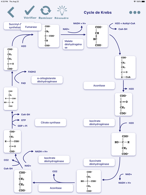 Screenshot #6 pour Metabolic Pathways