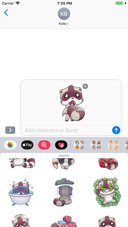 RaccoonMoji - Racoon Stickers