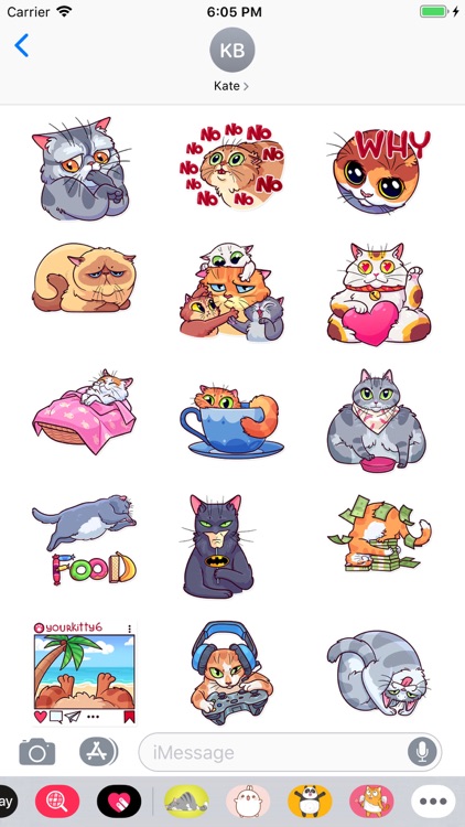 Meme Cats Stickers