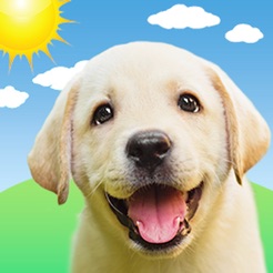Weather Puppy Forecast Dogs 4 Weather Puppy Forecast Dogs 4