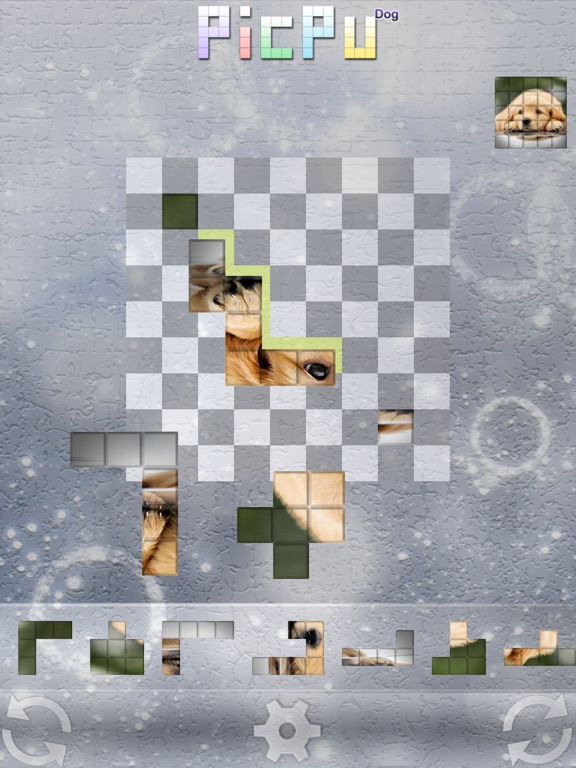 Screenshot #6 pour PicPu - Dog Picture Puzzle