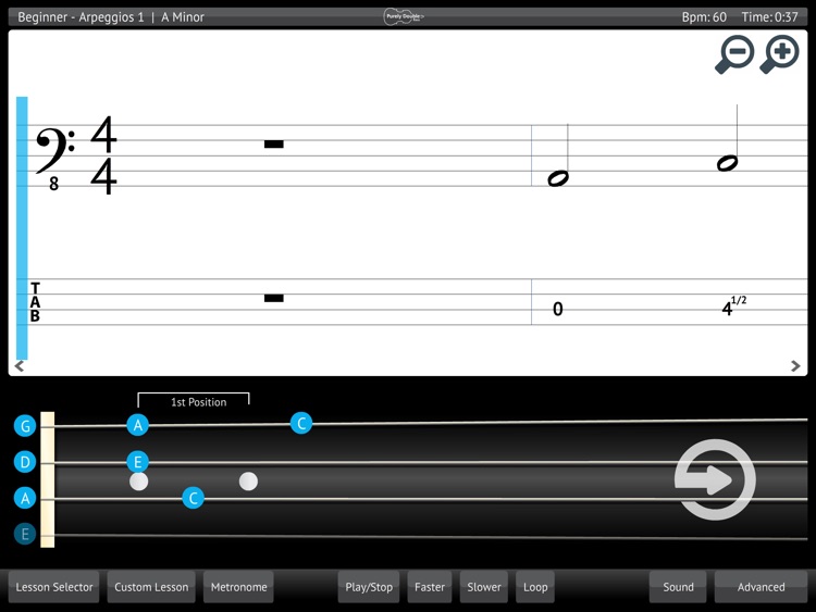 Double Bass Lessons & Learn