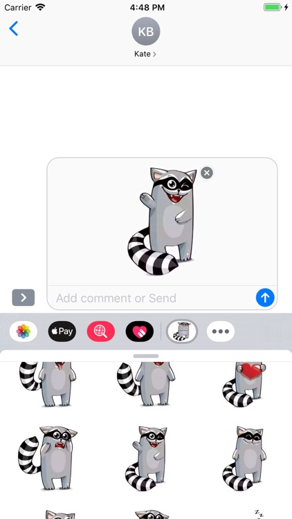 Racoon Stickers Pack screenshot-9