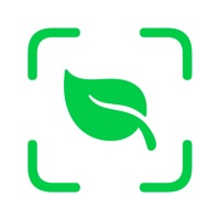 Planto: Plante Reconnaissance pour PC