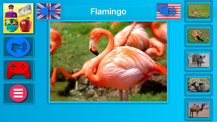 Animal Sounds - Learn Fun Play