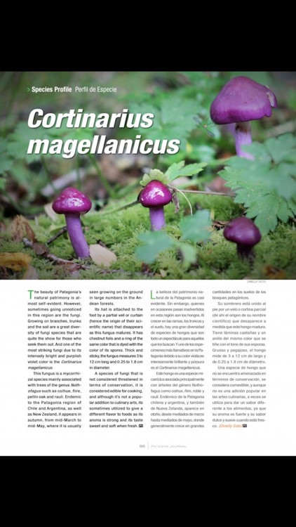 Patagon screenshot-4