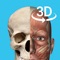 3D人体解剖学是一款专为广大医学爱好者研发的一款学习类app，里面包含丰富的人体解剖教学类容。