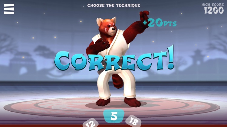 Digital Dojo Karate Training screenshot-3