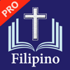 Axeraan Technologies - Magandang Balita Biblia Pro アートワーク