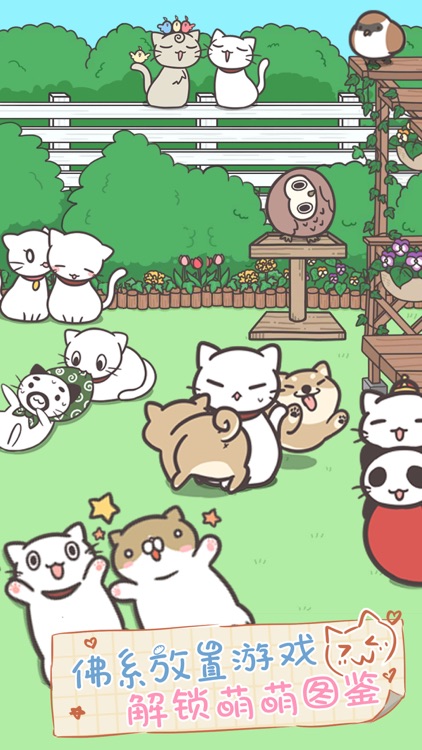 猫咪饲养日常 screenshot-3