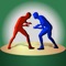 The "Martial Arts Video Analysis" program will help to optimize the process of analyzing the competitive activity of combat athletes of various qualifications (all types of Martial Arts)
