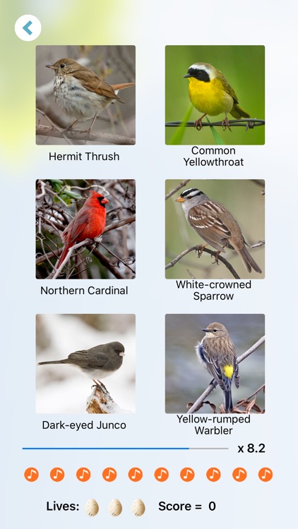 Chirp! Bird Songs & Calls USA screenshot-7