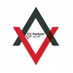 Commercialista in linea