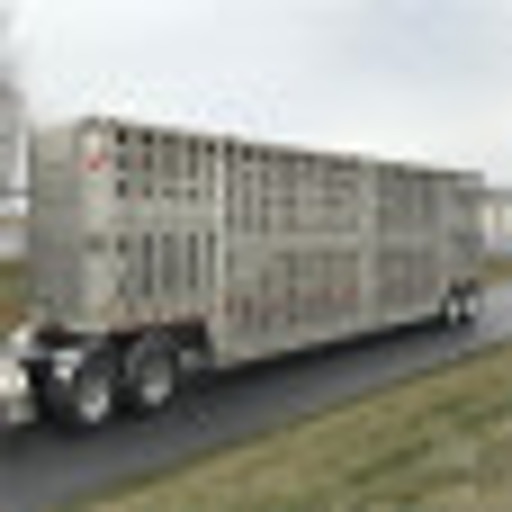 Livestock Truck Allocation