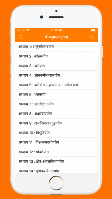 Bhagavad Gita in Hindi App screenshot 2