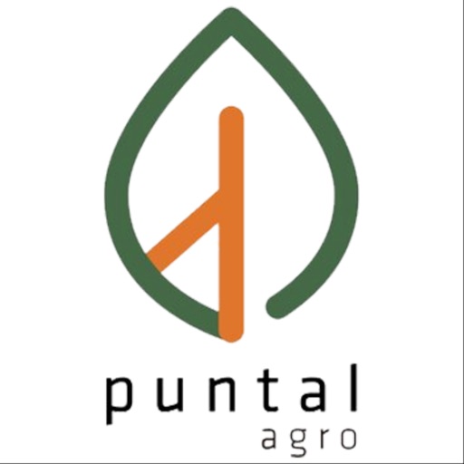 Puntal