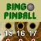 You have 5 balls to try to make a line on a bingo card