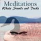 Relax as Meditations - Whale Sounds and Ducks transports your mind into a virtual relaxations