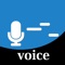 Voice Tuner 12 is a practice application of voice and sound