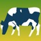 A quick and simple way to calculate a number of common grazing related equations used by dairy and beef farmers
