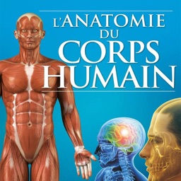 Quizz:Anatomie du Corps Humain