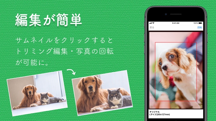 写真プリント 写真の現像は しまうまプリント